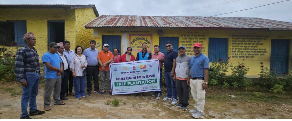 Tree Plantation